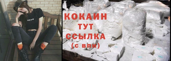 винт Абаза