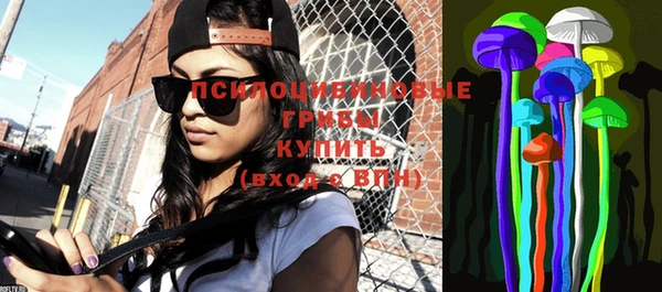 винт Абаза