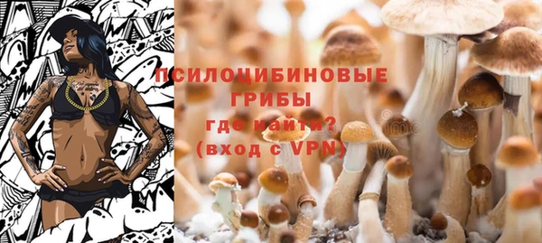 твердый Абинск