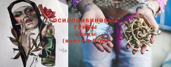 винт Абаза