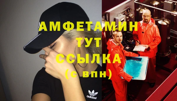 винт Абаза