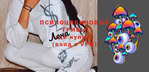 винт Абаза