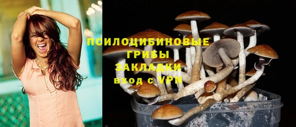 винт Абаза
