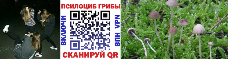 Галлюциногенные грибы мицелий  Томилино 